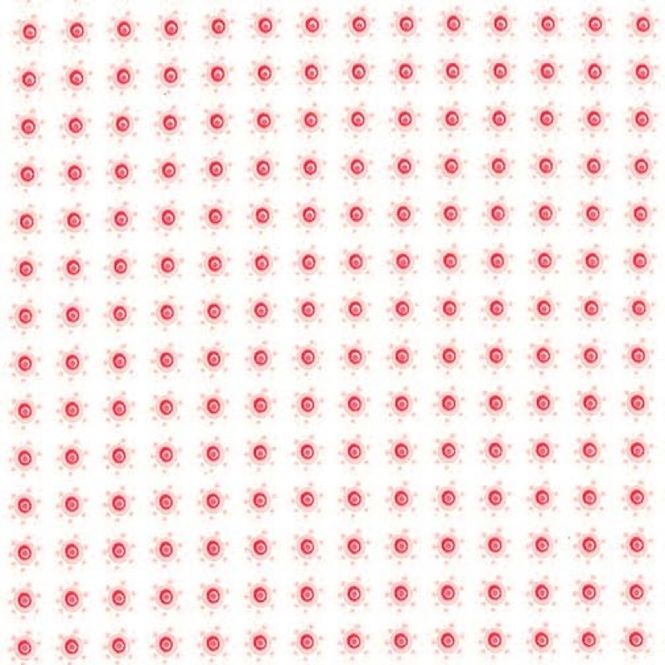 Hovedbilde Hedge hugs sun