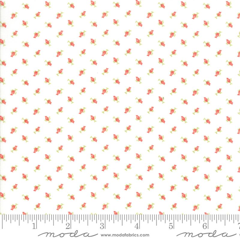 Catalina tiny rose white