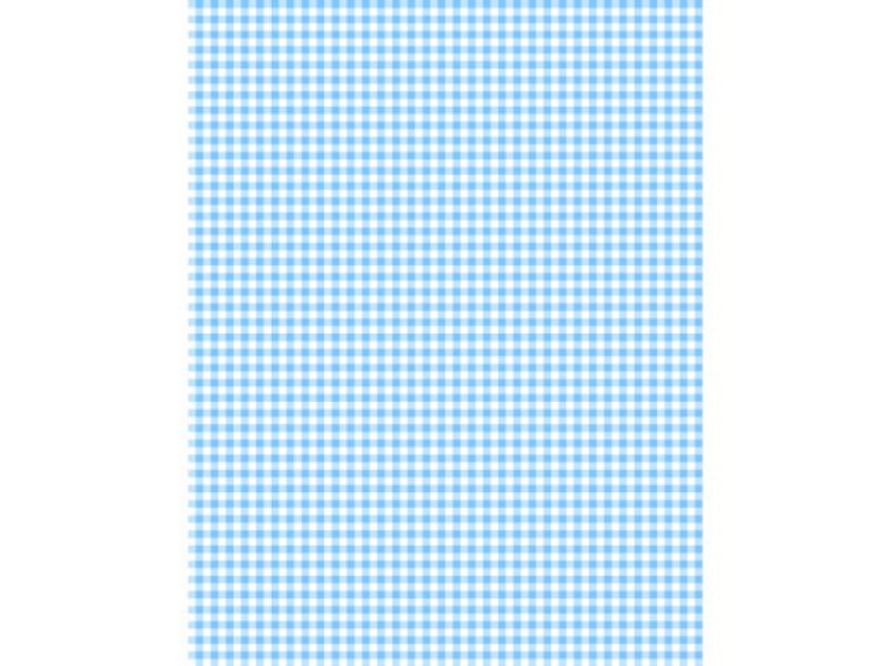 Essentials baby blue gingham