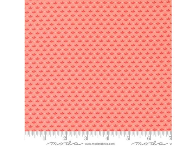 Hovedbilde Raspberry summer pink blender