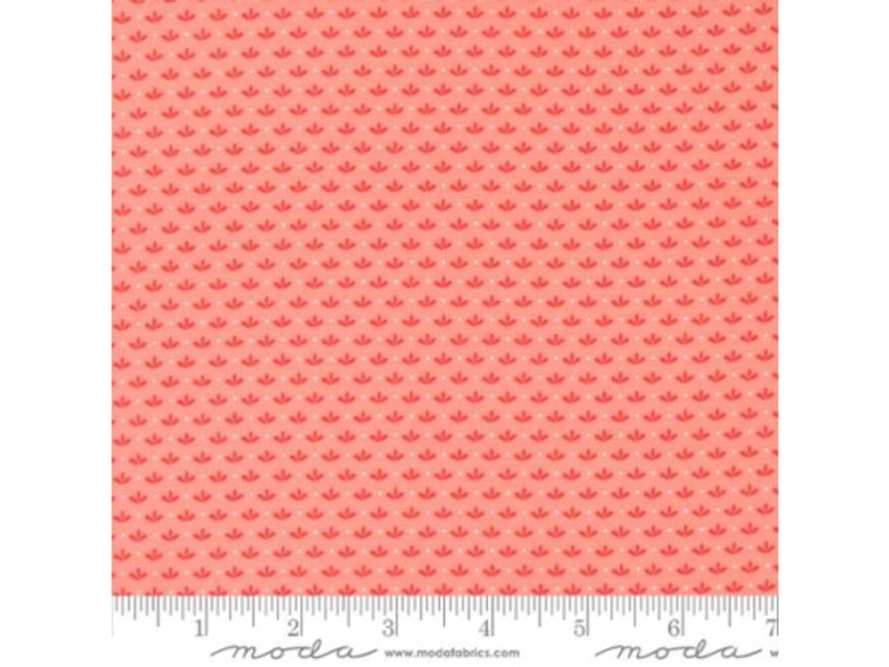 Raspberry summer pink blender