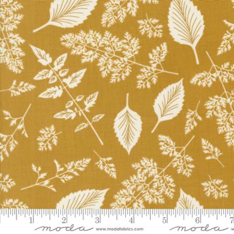 Field of flowers ochre leafy
