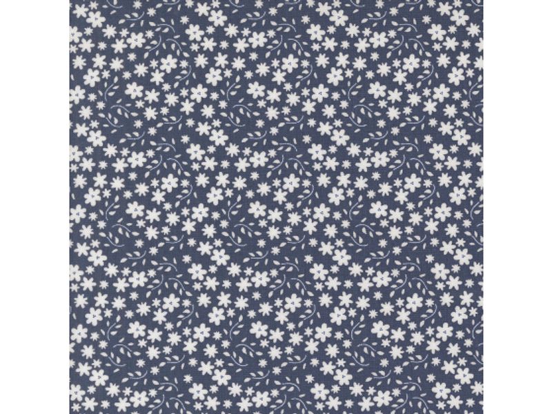 Raspberry summer blue floral